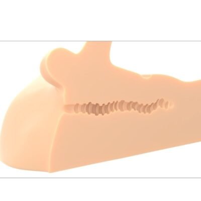 pdx plus masturbatore perfetto del pene e dellano 2